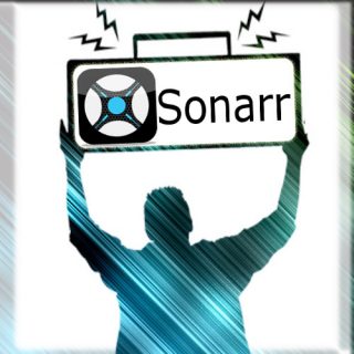 sonarr and radarr
